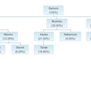Beneficial Ownership Diagram New