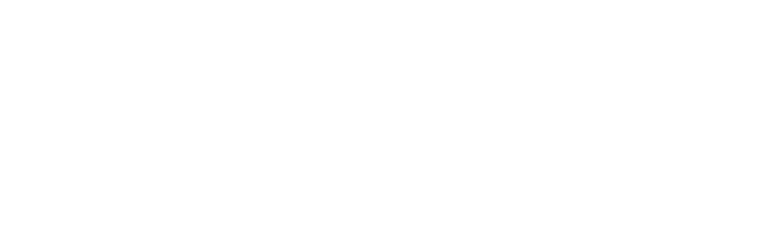 Providential Consullting Inc